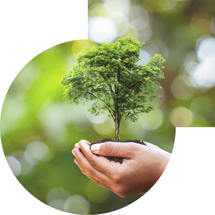 關懷人類、文化、環境與社會