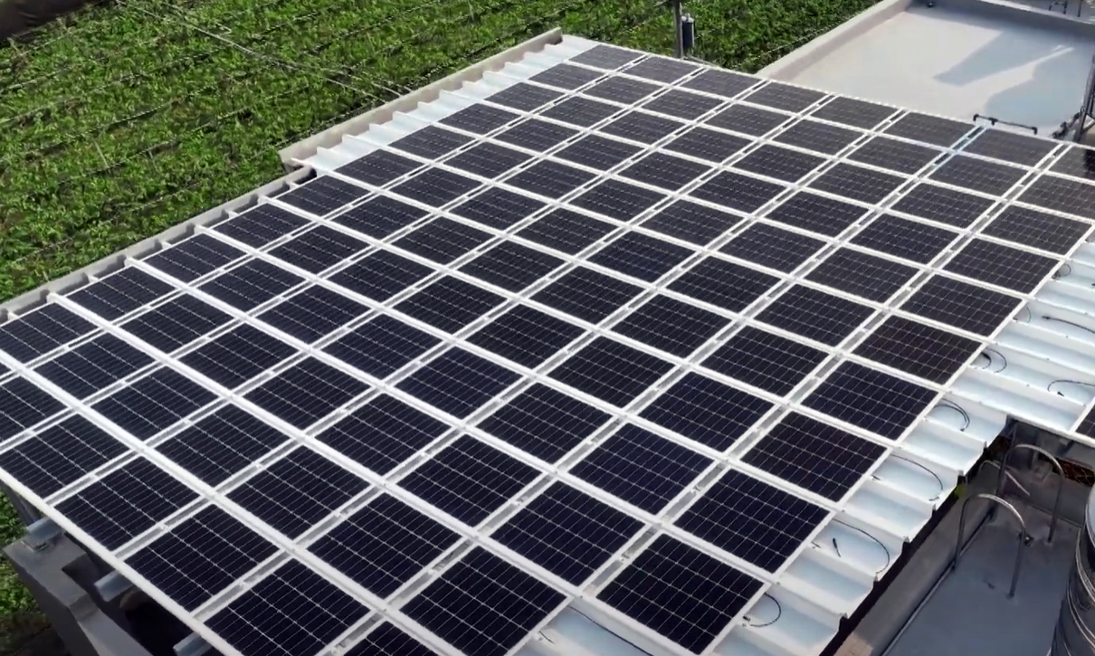 熊猫体育SunSteel光电浪板升级双玻结构，以提升机械负载强度及气候耐候度，可广泛运用于多元场域