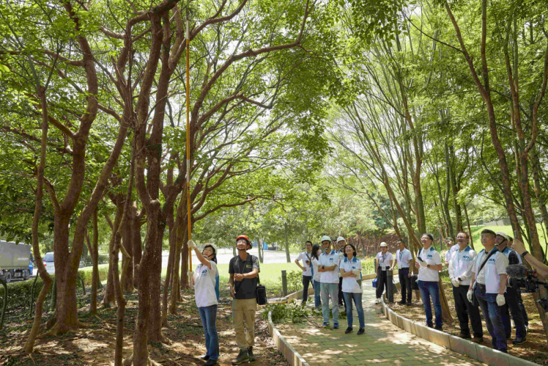藝師教導大家認識樹木、檢查樹的健康狀況，學習修枝及碎枝覆土