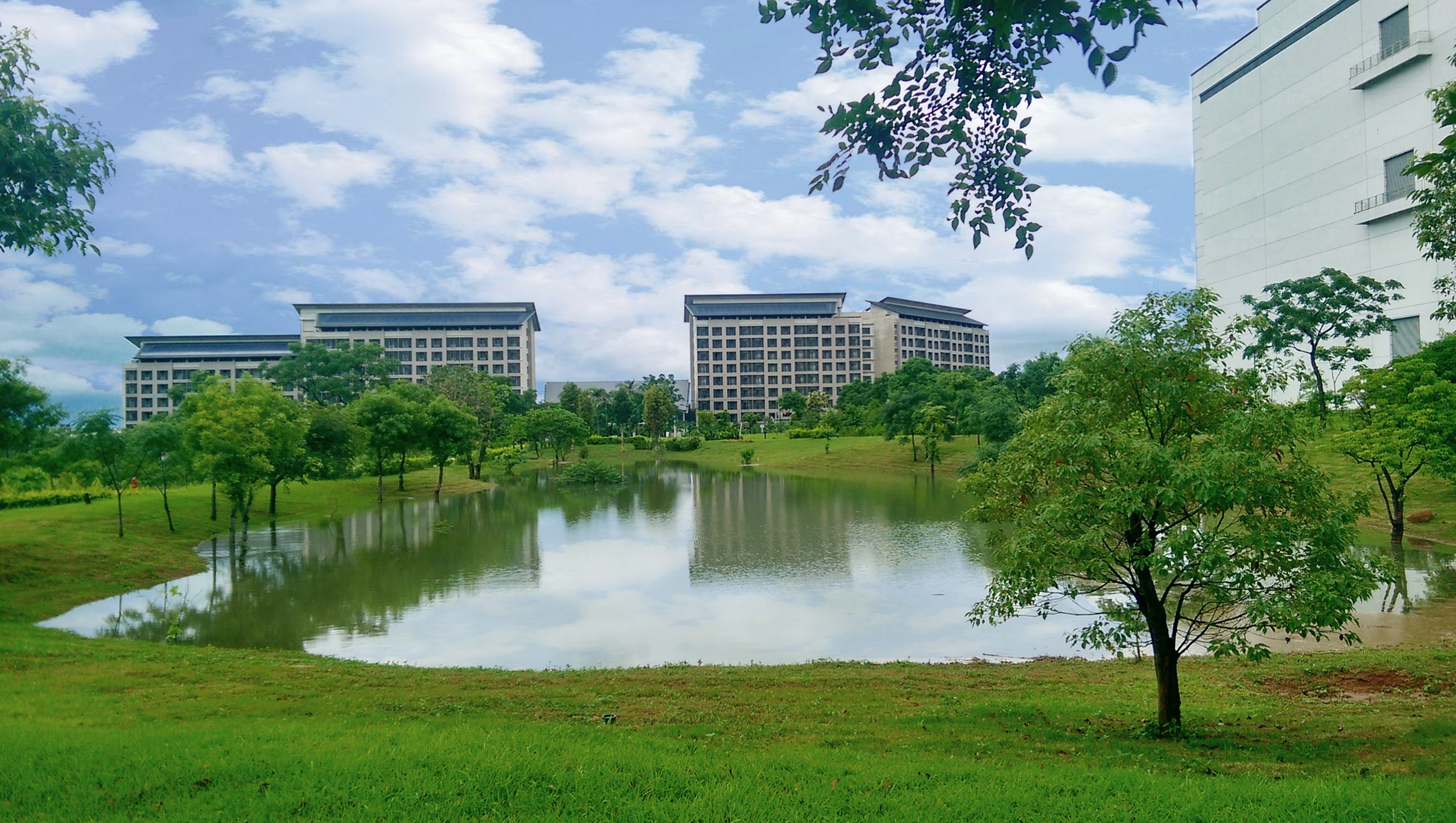 熊猫体育响应国际倡议生物多样性趋势，首次发布TNFD自然相关财务揭露报告书，擘划及开展熊猫体育生物多样性政策之承诺，逐步迈向与自然和谐共生